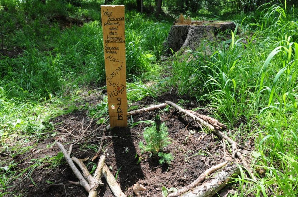 30 Bäume für saubere Luft in Haimhausen